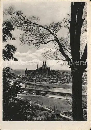 Meissen Elbe Sachsen Blick auf Albrechtsburg u.Dom Kat. Meissen