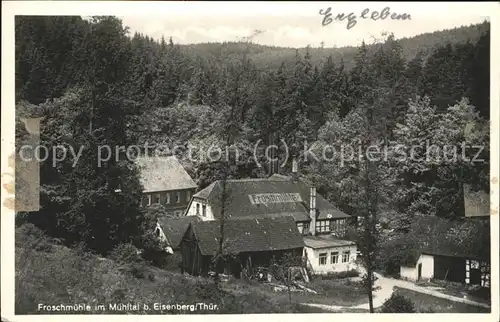 Eisenberg Thueringen Froschmuehle Muehltal / Eisenberg /Saale-Holzland-Kreis LKR