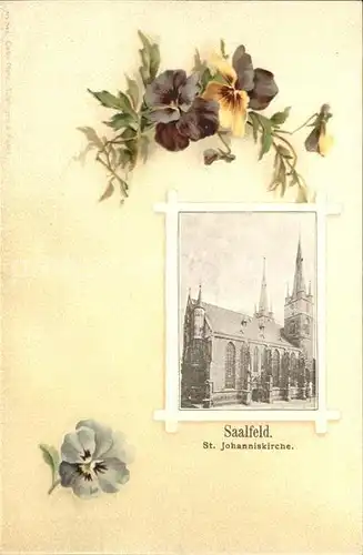 Saalfeld Saale St. Johanniskirche Kat. Saalfeld