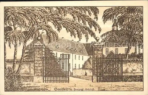 Saalfeld Saale herzogl. Schloss Kuenstlerkarte Kat. Saalfeld