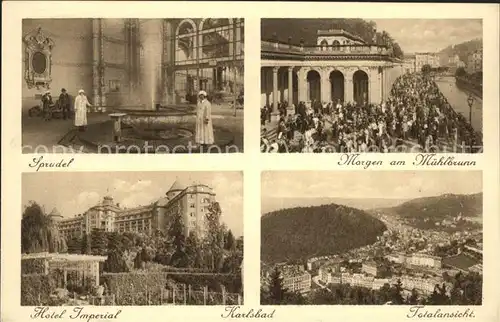 Karlsbad Eger Boehmen Sprudel Muehlbrunn Hotel Imperial Totalansicht Kat. Karlovy Vary