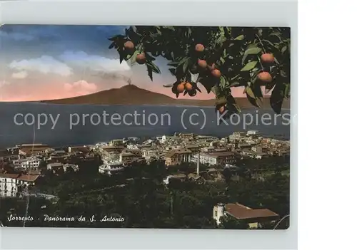 Sorrento Campania Panorama da San Antonio Vesuv Orangenbaum Kat. Sorrento