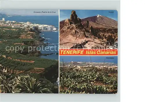 Puerto de la Cruz und Orotava Teide Vulkan Weinfelder Kat. Puerto de la Cruz Tenerife