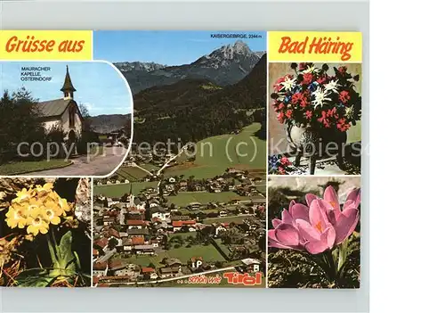 Bad Haering Tirol Mauracher Kapelle Osterndorf Panorama mit Kaisergebirge Alpenblumen Kat. Bad Haering