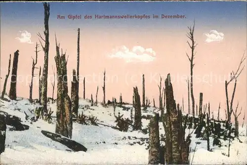 Hartmannsweilerkopf Im Winter Kat. Hartmannswiller