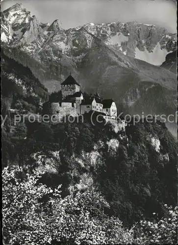 Vaduz Schloss Kat. Vaduz