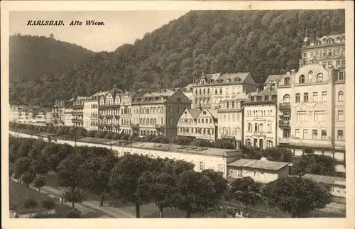 Karlsbad Eger Boehmen Alte Wiese Kat. Karlovy Vary