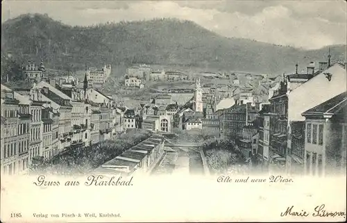 Karlsbad Eger Boehmen Alte und Neue Wiese Kat. Karlovy Vary