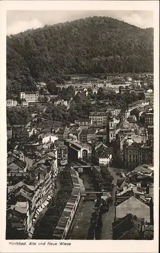 Karlsbad Eger Boehmen Alte und Neue Wiese Kat. Karlovy Vary