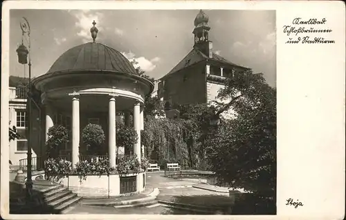 Karlsbad Eger Boehmen Schlossbrunnen und Stadtturm Kat. Karlovy Vary