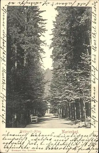 Marienbad Tschechien Boehmen Waldquell Allee Kat. Marianske Lazne