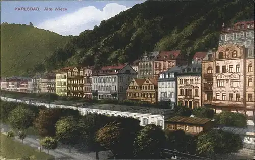 Karlsbad Eger Boehmen Alte Wiese Kat. Karlovy Vary