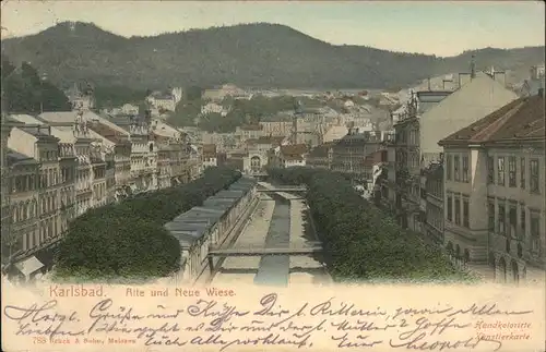 Karlsbad Eger Boehmen Alte und Neue Wiese Kat. Karlovy Vary