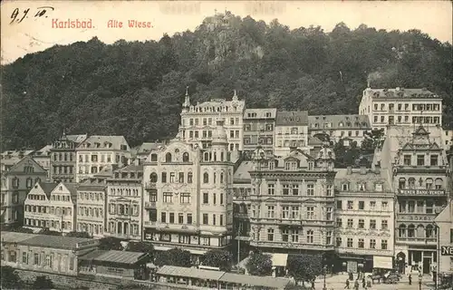 Karlsbad Eger Boehmen Alte Wiese Kat. Karlovy Vary