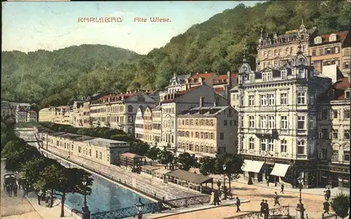 Karlsbad Eger Boehmen Alte Wiese Kat. Karlovy Vary