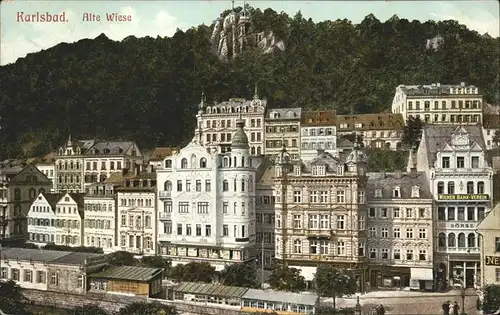 Karlsbad Eger Boehmen Alte Wiese Kat. Karlovy Vary