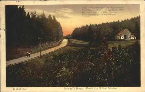 Bielefeld Spiegel s Berge am Stillen Frieden Kat. Bielefeld