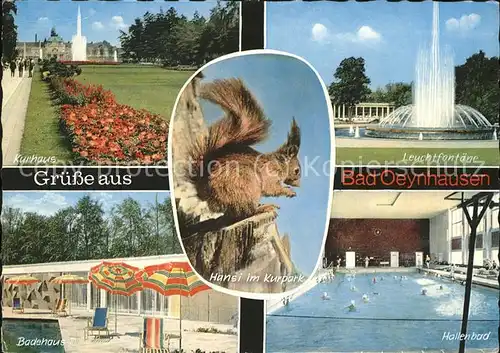 Bad Oeynhausen Kurhaus Leuchtfontaene Badehaus IV Hallenbad Eichhoernchen Hansi Kat. Bad Oeynhausen