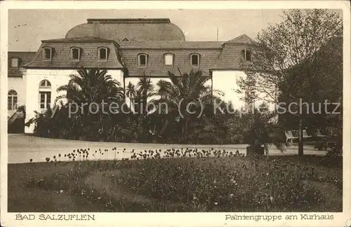 Bad Salzuflen Palmengruppe am Kurhaus Kat. Bad Salzuflen