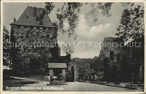 Nideggen Eifel Burgfried Burgruine Schlossbrunnen Kat. Nideggen