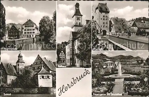 Hersbruck Rosengarten Strudelbad Wassertor Schloss Kat. Hersbruck