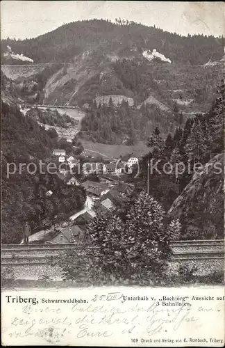 Triberg Schwarzwald  Kat. Triberg im Schwarzwald