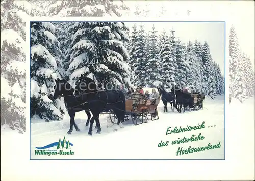 Usseln Pferdekutschenfahrten im Winter Kat. Willingen (Upland)