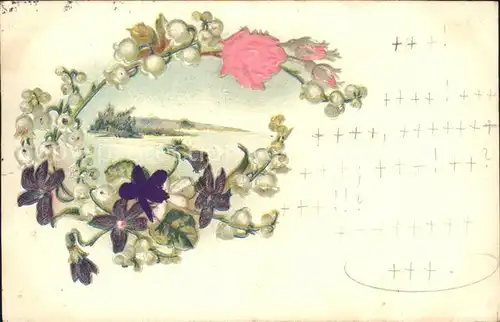 Rosen Blumen Kat. Pflanzen