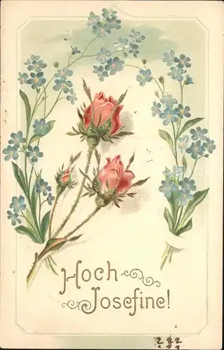 Rose Hoch Josefine Kat. Pflanzen