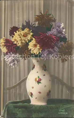 Blumen Vase Dahlien Kat. Pflanzen