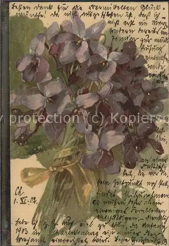 Blumen Veilchen Strauss Kat. Pflanzen