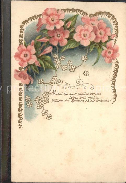 Get Blumen spruch Free HD
