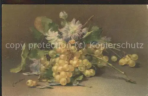 Kuenstlerkarte C. von Sivers Blumen Weintrauben Kat. Kuenstlerkarte