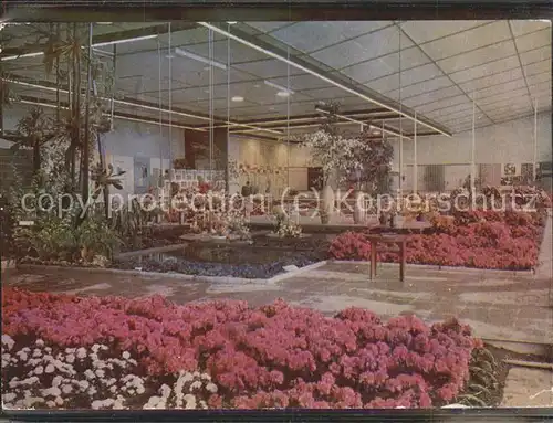 Gartenbauaustellung Erfurt Zierpflanzenausstellung Halle XIII Kat. Expositions