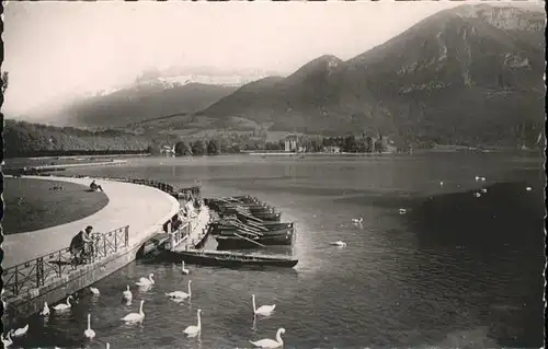 Annecy Haute-Savoie Au bord du Lac Les Cygnes / Annecy /Arrond. d Annecy