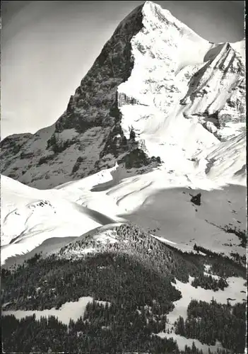 Kleine Scheidegg Wengen Wengernalp Eiger  / Scheidegg, Kleine /Rg. Wengen