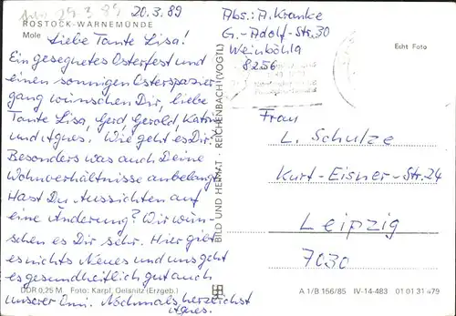 Warnemuende Ostseebad Mole Leuchtturm Moewen / Rostock /Rostock Stadtkreis