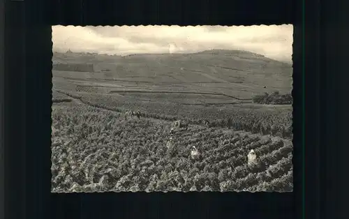 Reims Champagne Ardenne Champagne Pommery & Greno / Reims /Arrond. de Reims