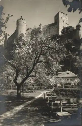 Salzburg Oesterreich Salzburg Restaurant zur Katz * / Salzburg /Salzburg und Umgebung