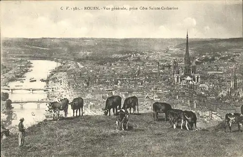 Rouen Sainte-Catherine Kuehe Herde Kat. Rouen