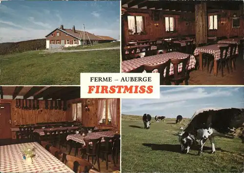 Munster Elsass Ferme Auberge Firstmiss Kuehe Kat. Munster