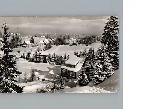 Hahnenklee-Bockswiese Harz  / Goslar /Goslar LKR