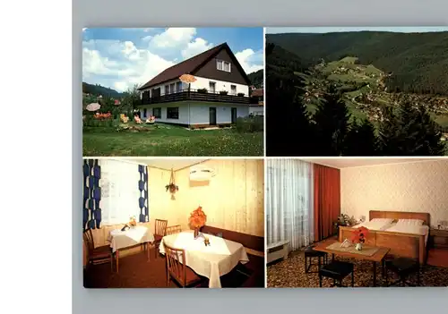 Baiersbronn Schwarzwald Pension Haus Renate / Baiersbronn /Freudenstadt LKR