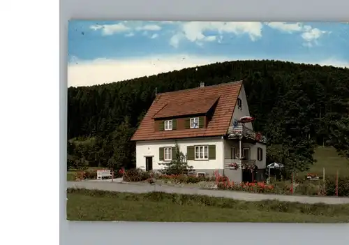 Baiersbronn Schwarzwald Pension Haus David Borho / Baiersbronn /Freudenstadt LKR