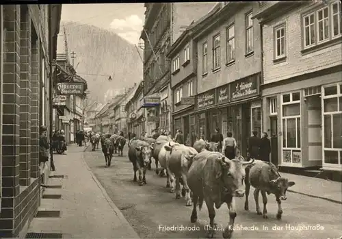 pw04885 Friedrichroda Kuhherde Hauptstrasse Kategorie. Friedrichroda Alte Ansichtskarten