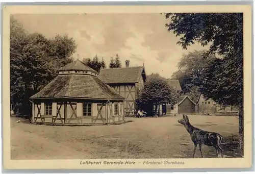 Gernrode Harz Gernrode Harz Foersterei Sternhaus * / Gernrode Harz /Harz LKR