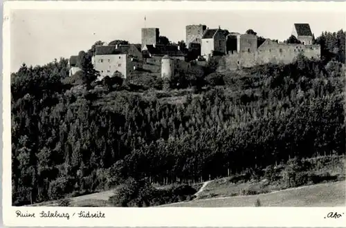 Bad Neustadt Saale Ruine Salzburg x