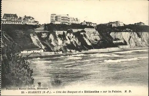 Biarritz Pyrenees Atlantiques Basques Helianthe Sur la Falaise / Biarritz /Arrond. de Bayonne