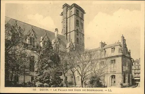 Dijon Cote d Or Palais des Ducs / Dijon /Arrond. de Dijon