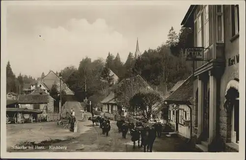 Schierke Harz Kirchberg Kuehe / Schierke Brocken /Harz LKR